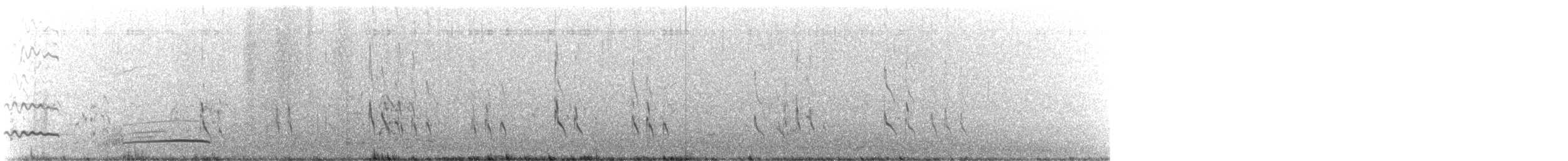 Short-billed Dowitcher (caurinus) - ML646332147