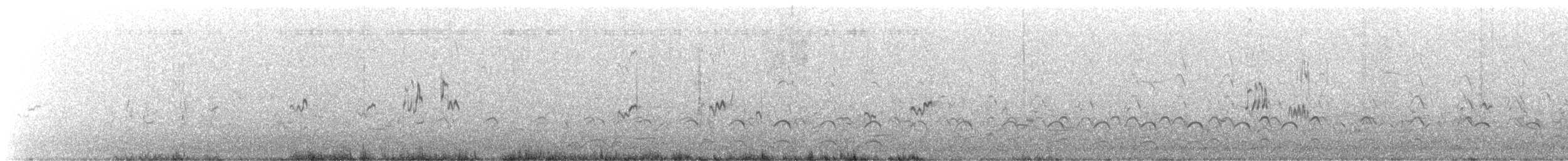 Least Sandpiper - ML646332561