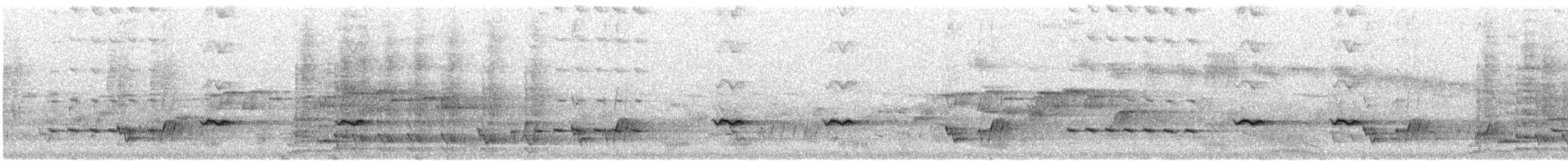 Pardalote Estriado (substriatus) - ML646333025
