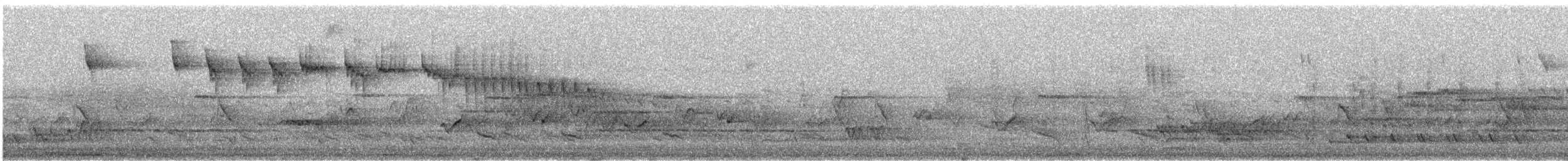 Blue-breasted Fairywren - ML646333048