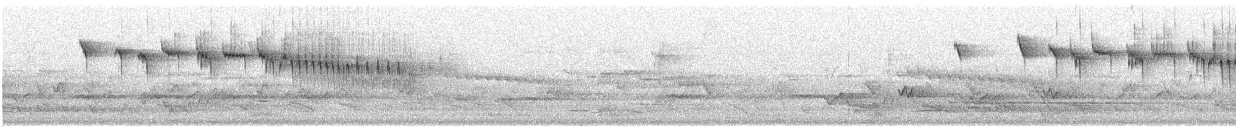 Blue-breasted Fairywren - ML646333089