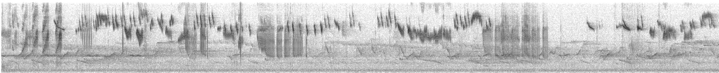 Blue-breasted Fairywren - ML646333090