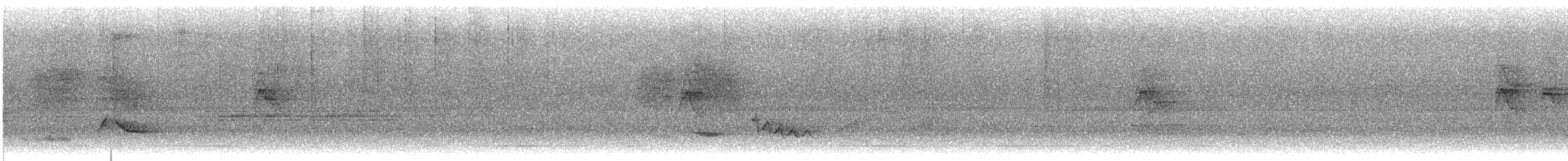 Southern House Wren - ML646333545