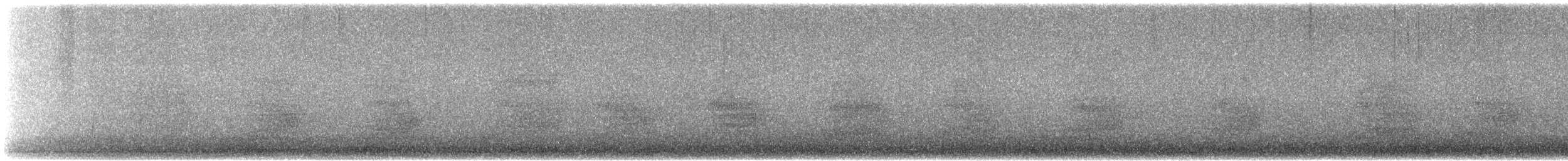 Steller Kargası [diademata grubu] - ML646333977