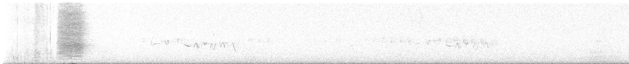 Island Scrub-Jay - ML646334028