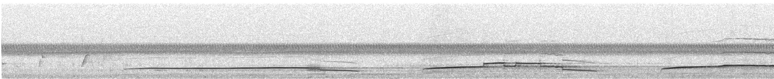 Bush Thick-knee - ML646334159