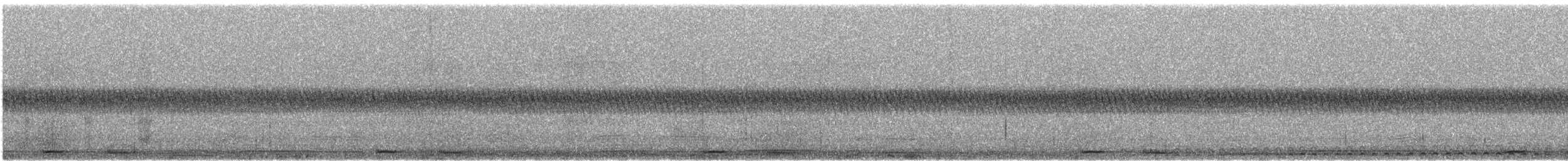 Australian Boobook (Boobook) - ML646334177