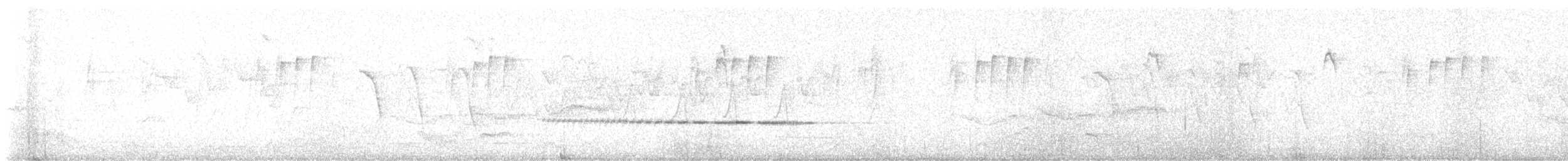 Джоя білочерева - ML646334482