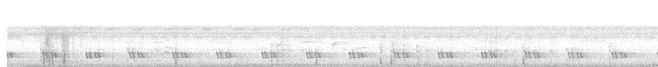 Black-eared Barbet - ML646334677