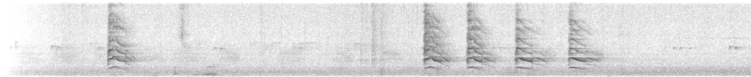 Steller Kargası [stelleri grubu] - ML646334723