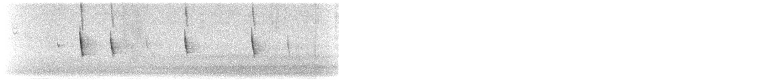 Kronenammer - ML646335087