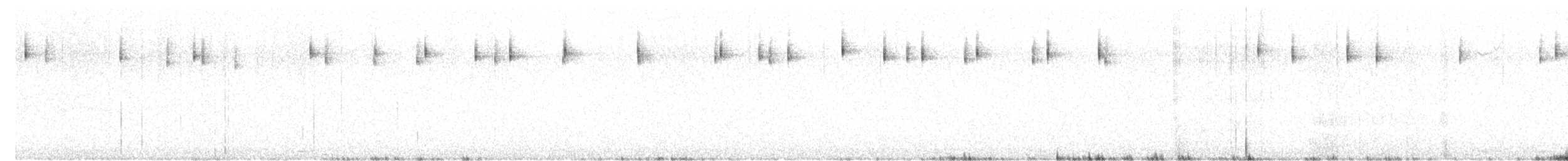 Salbeiammer (belli) - ML646335088