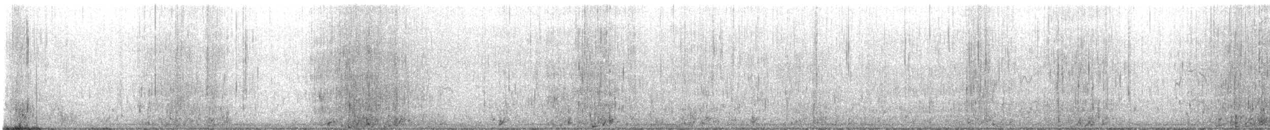 American Oystercatcher - ML646335225