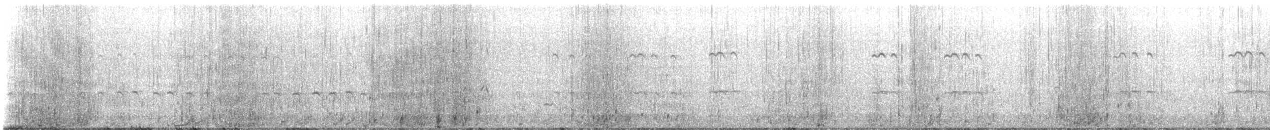 Royal Tern - ML646335235