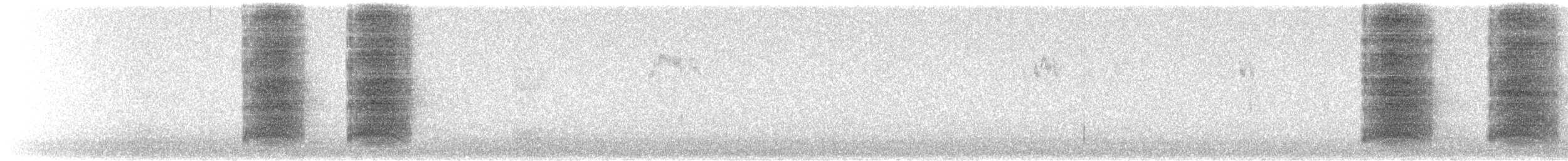 Steller Kargası [stelleri grubu] - ML646335331