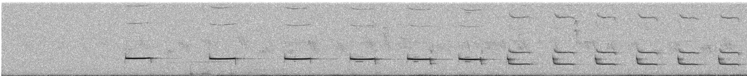 Muisca Antpitta - ML646335466