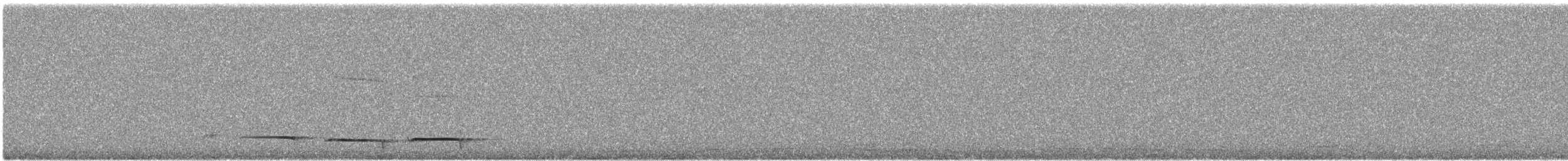 Chestnut-crowned Antpitta - ML646335538