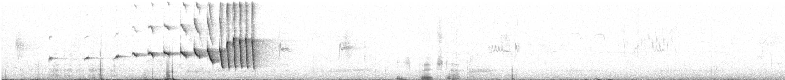 Noisy Scrub-bird - ML646335603