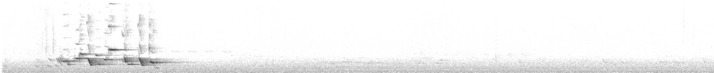 New Zealand Bellbird - ML646335639