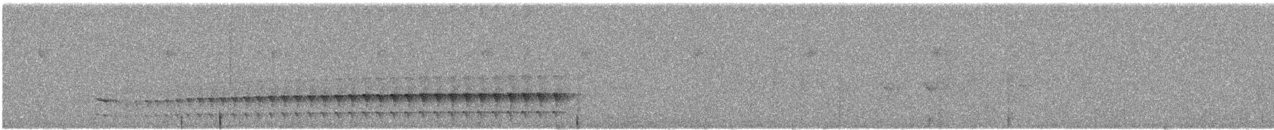 Nariño Tapaculo - ML646335643