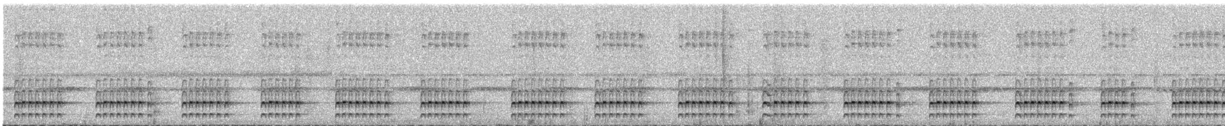 Tatama Tapaculo - ML646335688