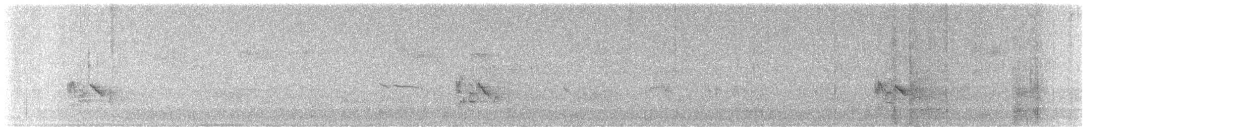 Amerika Çütresi (californicus) - ML646335780