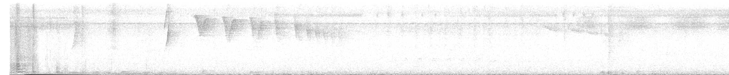 Black Vulture - ML646335794