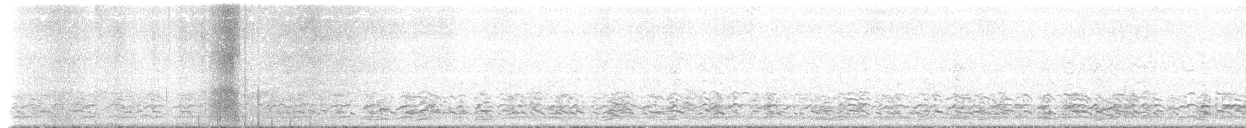 Cackling Goose - ML646335852