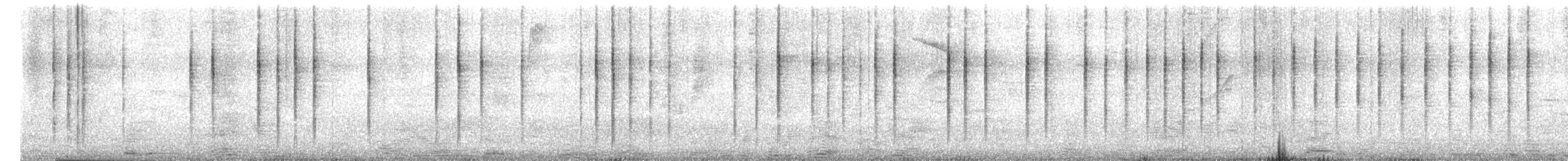 ミドリユミハチドリ - ML646335891