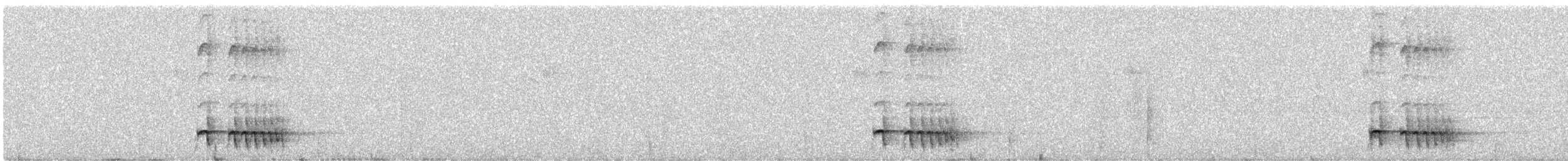 Chami Antpitta - ML646336123