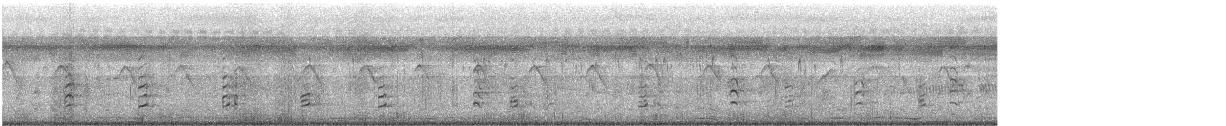 Black-winged Stilt - ML646336189