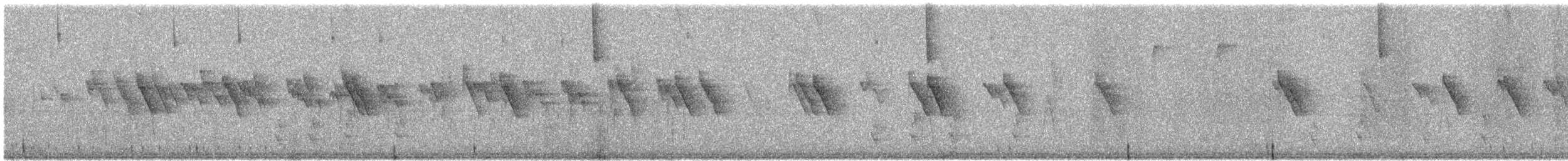 Chestnut-bellied Flowerpiercer - ML646336197