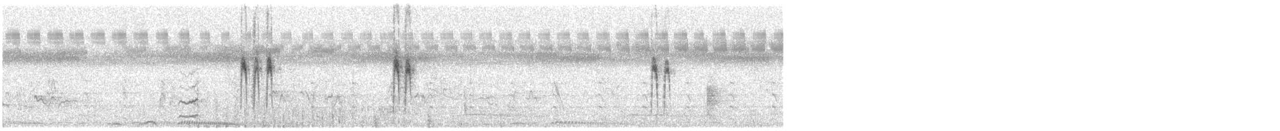 White Wagtail (Chinese) - ML646336345