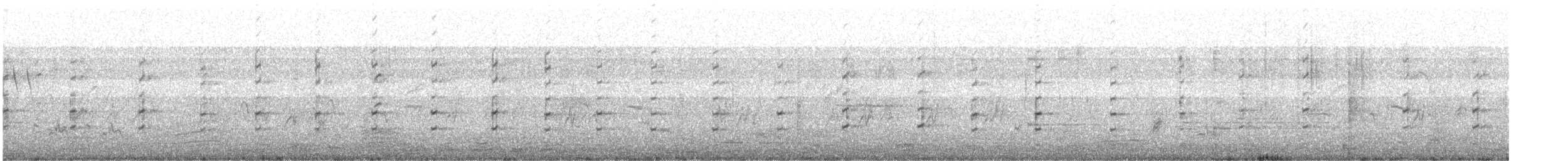 Black-winged Stilt - ML646336452