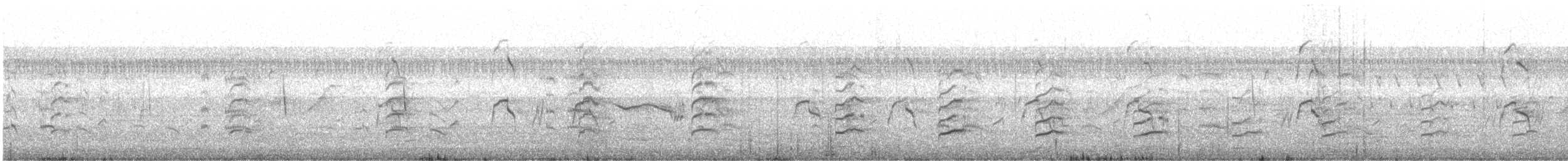 Black-winged Stilt - ML646336453