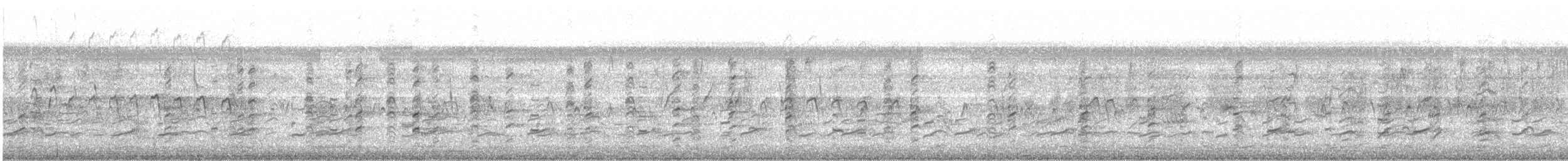 Black-winged Stilt - ML646336497