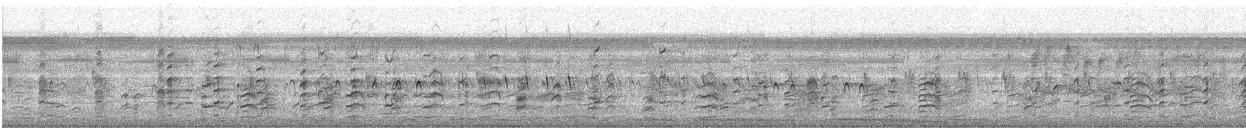 Black-winged Stilt - ML646336498