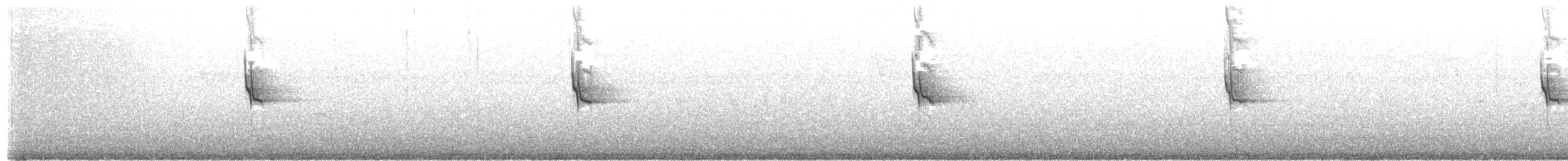 Auripare verdin - ML646336515