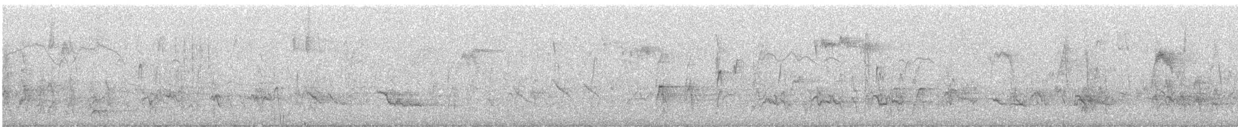 American Robin - ML646336694