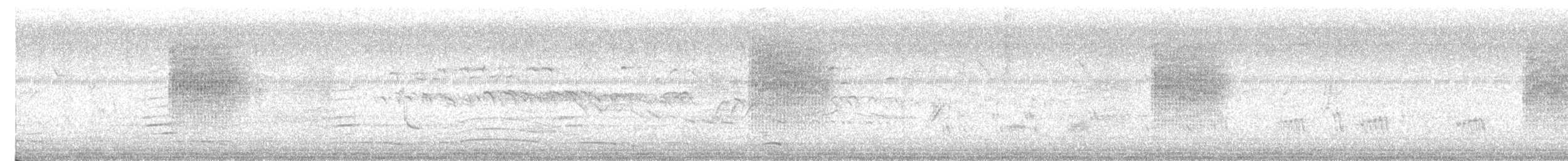 rákosník pokřovní - ML646336789