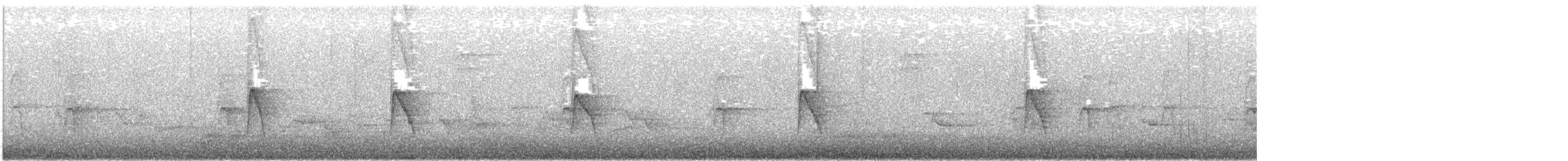 Yellow-bellied Flycatcher - ML646336912