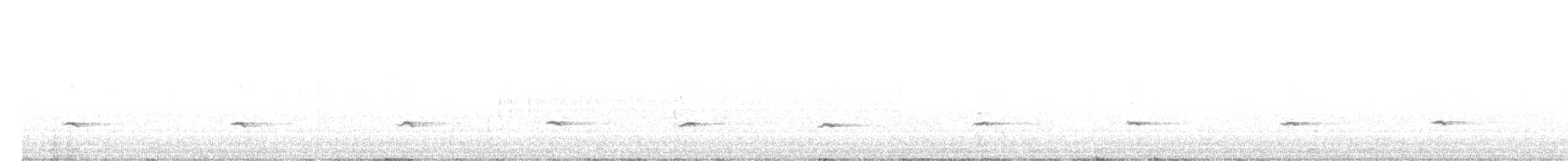 lesňák západní - ML646337008