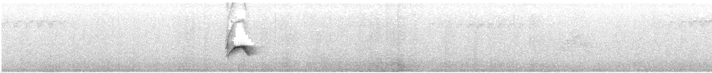 drozd newfoundlandský - ML646337056