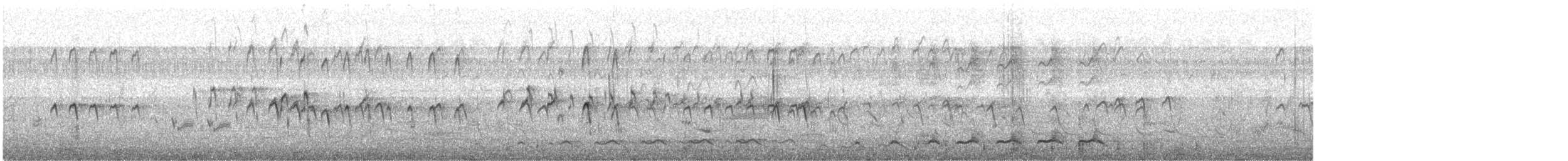 鷹斑鷸 - ML646337078