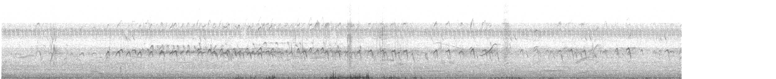 鷹斑鷸 - ML646337079