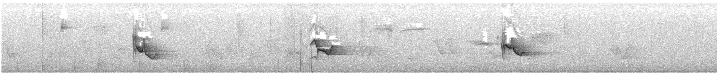 Blue-headed Vireo - ML646337094