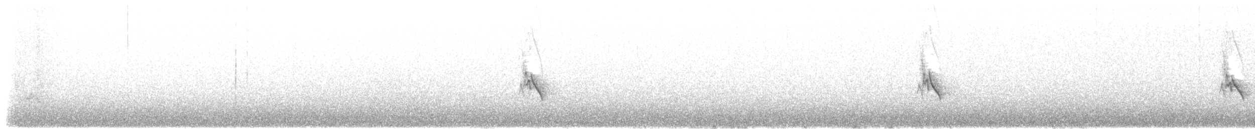 Painted Redstart - ML646337183