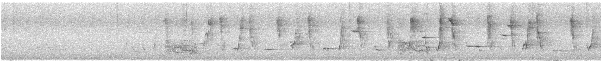 medosavka žíhaná - ML646337210