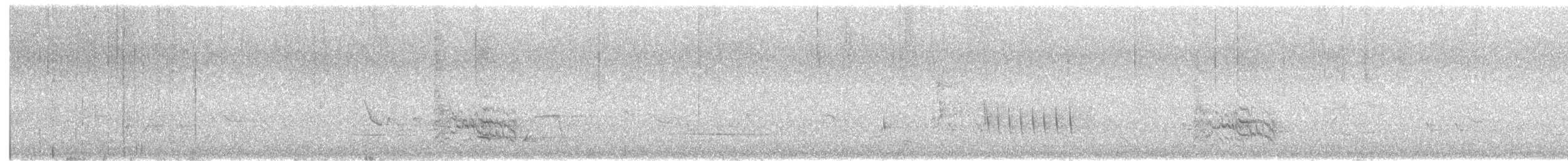 Black-faced Cuckooshrike - ML646337213