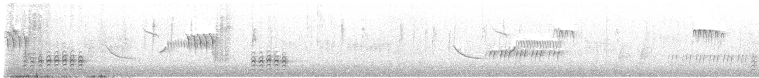 brhlík běloprsý [skupina lagunae] - ML646337215